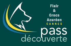 Pass Découverte